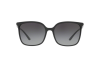 Sonnenbrille DOLCE & GABBANA DG 6112 (501/8G)