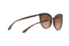 Lunettes de soleil DOLCE & GABBANA DG 6113 (315913)