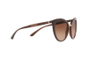 Lunettes de soleil DOLCE & GABBANA DG 6113 (315913)