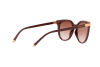 Lunettes de soleil Dolce & Gabbana DG 6117 (30916F)