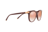 Lunettes de soleil Dolce & Gabbana DG 6117 (30916F)