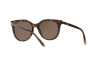 Солнцезащитные очки Dolce & Gabbana DG 6117 (502/73)