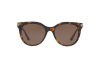 Sunglasses Dolce & Gabbana DG 6117 (502/73)