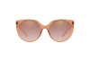 Sunglasses Dolce & Gabbana DG 6119 (31486F)