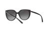 Sunglasses Dolce & Gabbana DG 6119 (501/8G)