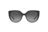 Sunglasses Dolce & Gabbana DG 6119 (501/8G)