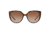 Солнцезащитные очки Dolce & Gabbana DG 6119 (502/13)