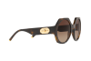 Солнцезащитные очки Dolce & Gabbana DG 6120 (502/13)