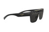 Sonnenbrille Dolce & Gabbana DG 6125 (501/M)