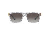 Sonnenbrille Dolce & Gabbana DG 6164 (33148G)