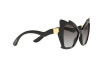 Occhiali da Sole Dolce & Gabbana DG 6166 (501/8G)