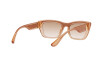 Sunglasses Dolce & Gabbana DG 6171 (32843B)