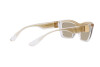 Lunettes de soleil Dolce & Gabbana DG 6171 (3352V9)