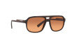 Sunglasses Dolce & Gabbana DG 6179 (329578)