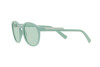 Солнцезащитные очки Dolce & Gabbana DG 6180 (3395M1)