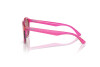 Sunglasses Dolce & Gabbana DX 6002 (3351/Z)