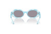 Sunglasses Dolce & Gabbana DX 6005 (33451U)