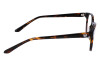 Eyeglasses Dragon DR2035 (240)