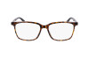 Eyeglasses Dragon DR9008 (240)