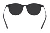 Sunglasses Dragon DR BILLIE LL (002)