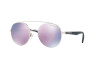 Occhiali da Sole Emporio Armani EA 2051 (30155R)