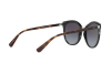 Sunglasses Emporio Armani EA 2055 (30108G)