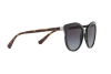 Sunglasses Emporio Armani EA 2055 (30108G)