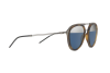 Occhiali da Sole Emporio Armani EA 2056 (30031X)
