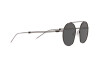 Sunglasses Emporio Armani EA 2078 (301487)