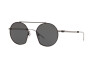 Sunglasses Emporio Armani EA 2078 (301487)