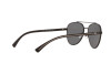 Sunglasses Emporio Armani EA 2079 (300181)