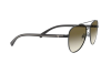 Occhiali da Sole Emporio Armani EA 2079 (30018E)