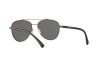 Sunglasses Emporio Armani EA 2079 (30036G)