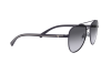 Sunglasses Emporio Armani EA 2079 (30928G)