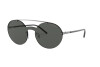Sunglasses Emporio Armani EA 2088 (301087)