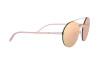 Sunglasses Emporio Armani EA 2088 (31677J)