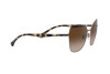 Солнцезащитные очки Emporio Armani EA 2095 (331713)