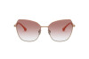 Sonnenbrille Emporio Armani EA 2095 (33188D)