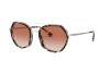 Sunglasses Emporio Armani EA 2098 (331113)