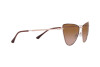 Sunglasses Emporio Armani EA 2108 (316713)