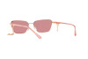 Sunglasses Emporio Armani EA 2141 (301184)