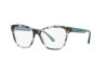 Brille Emporio Armani EA 3193 (5097)