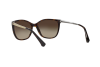 Occhiali da Sole Emporio Armani EA 4025 (502613)