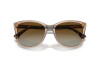 Sunglasses Emporio Armani EA 4060 (5850T5)