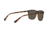 Sunglasses Emporio Armani EA 4109 (508987)