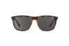 Sunglasses Emporio Armani EA 4109 (508987)