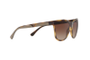 Sunglasses Emporio Armani EA 4112 (502613)