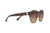 Sunglasses Emporio Armani EA 4113 (502613)