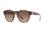 Sunglasses Emporio Armani EA 4113 (502613)