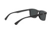 Sunglasses Emporio Armani EA 4137 (504287)